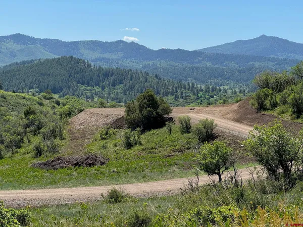 a view of a lush green hillside and a houses