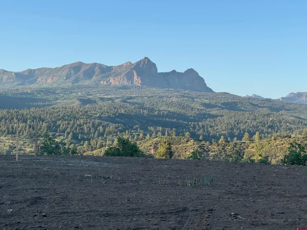 a view of a town with mountains in the background