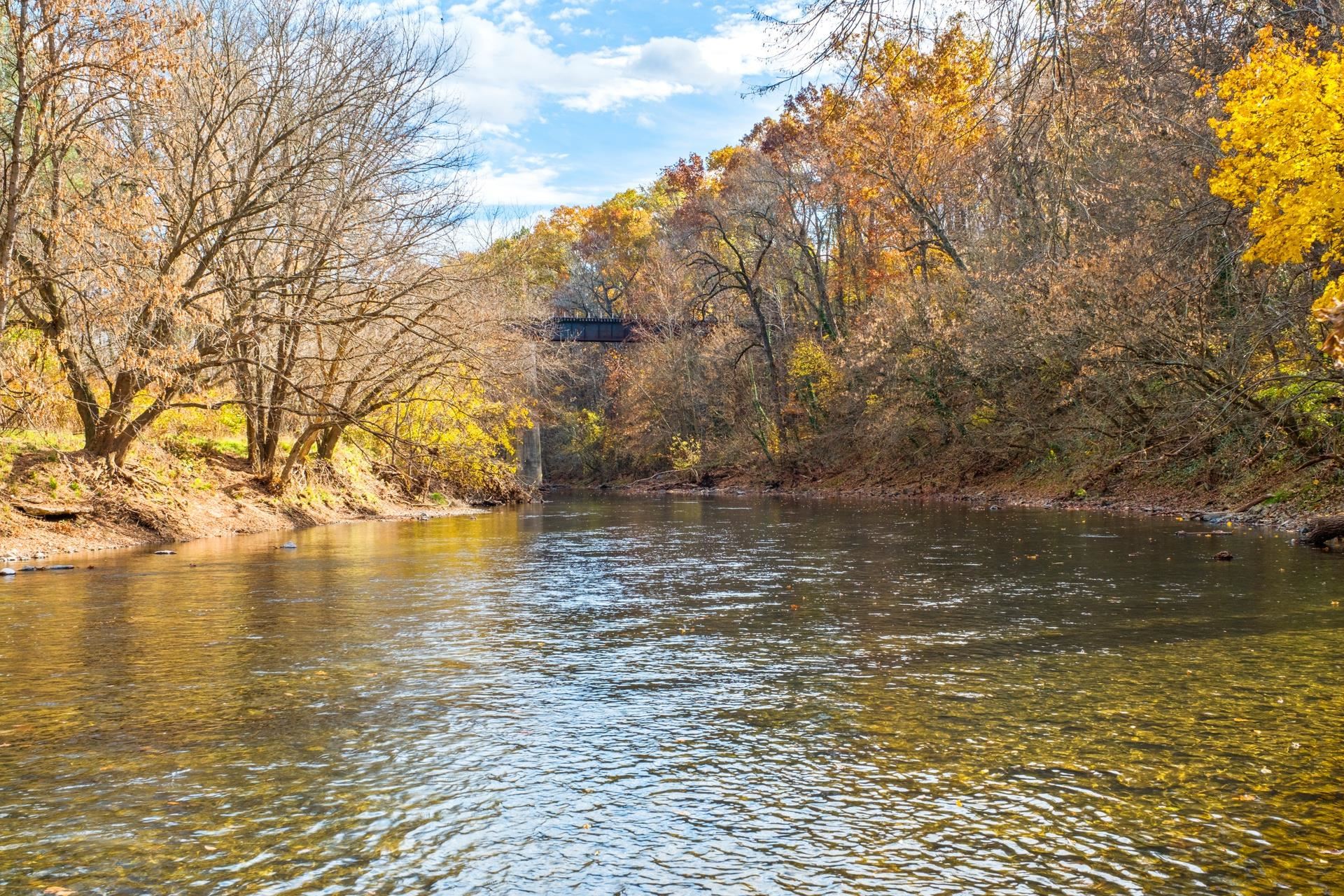 66 Samuel Bears Road Weyers Cave, VA 24486 - Photo 46 of 48 Gallery Image 46