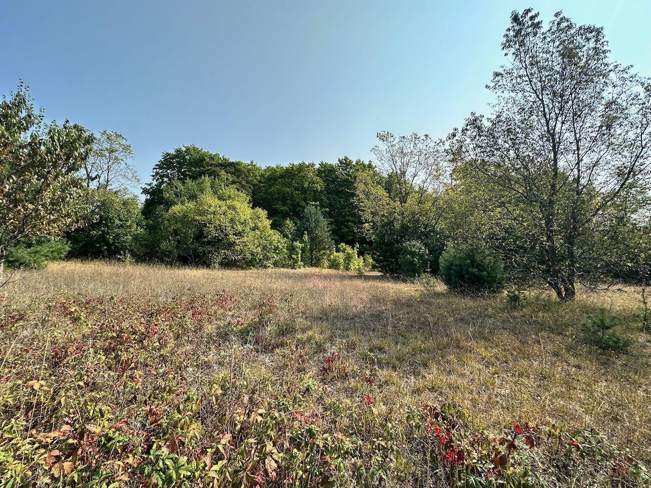 2519 Lee Derrer Road Mancelona, MI 49659 - Photo 33 of 42 Gallery Image 33
