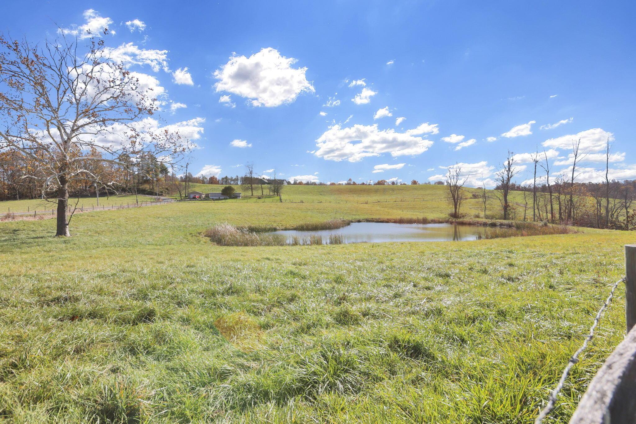 38482 Scout Road Logan, OH 43138 - Photo 58 of 86 61-web-or-mls-LO5A9072