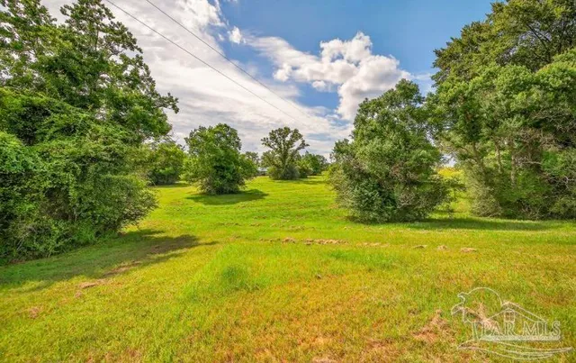 a view of an ocean from a yard