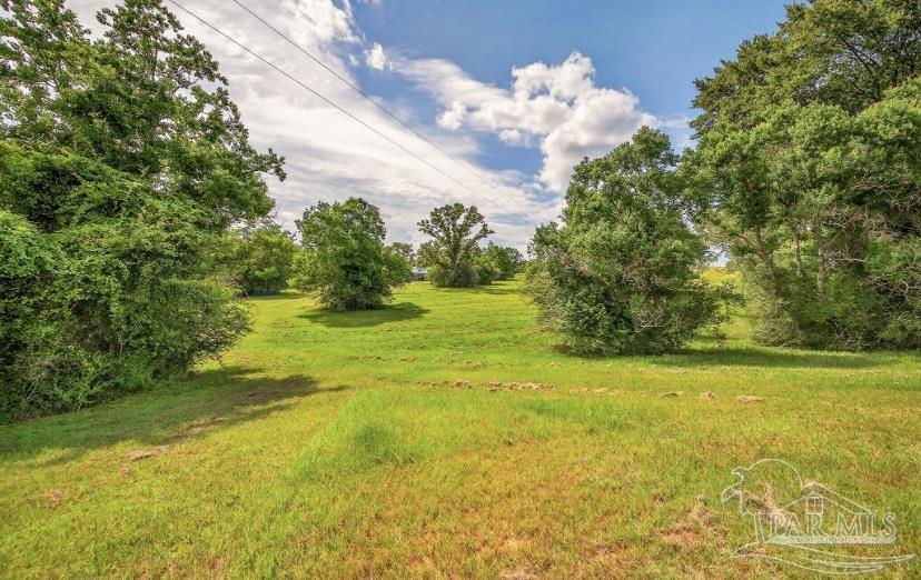 4890 Lemon Road Walnut Hill, FL 32568 - Photo 11 of 14 a view of yard with swimming pool and green space