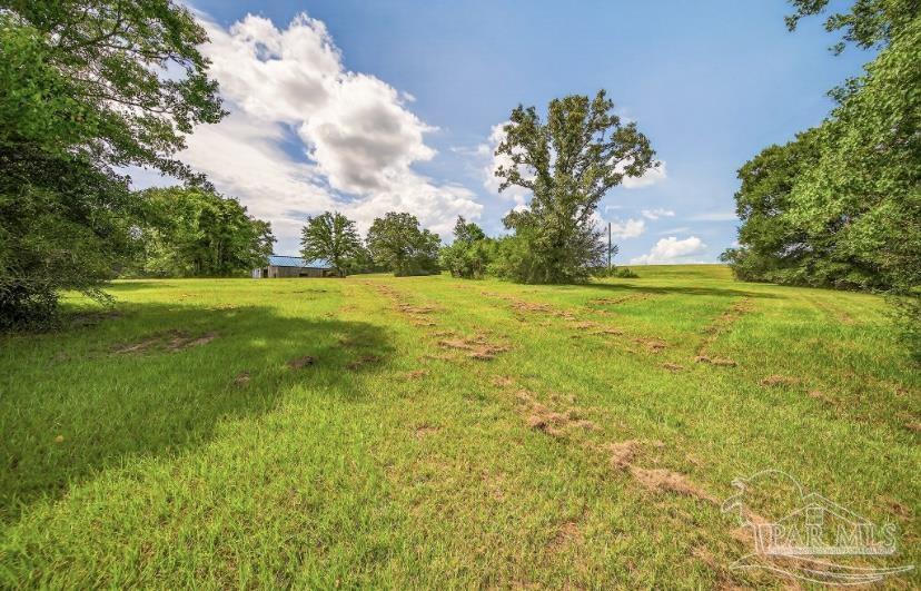 4890 Lemon Road Walnut Hill, FL 32568 - Photo 12 of 14 a view of an ocean from a yard