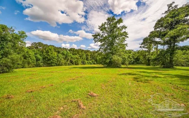 a view of yard with swimming pool and green space