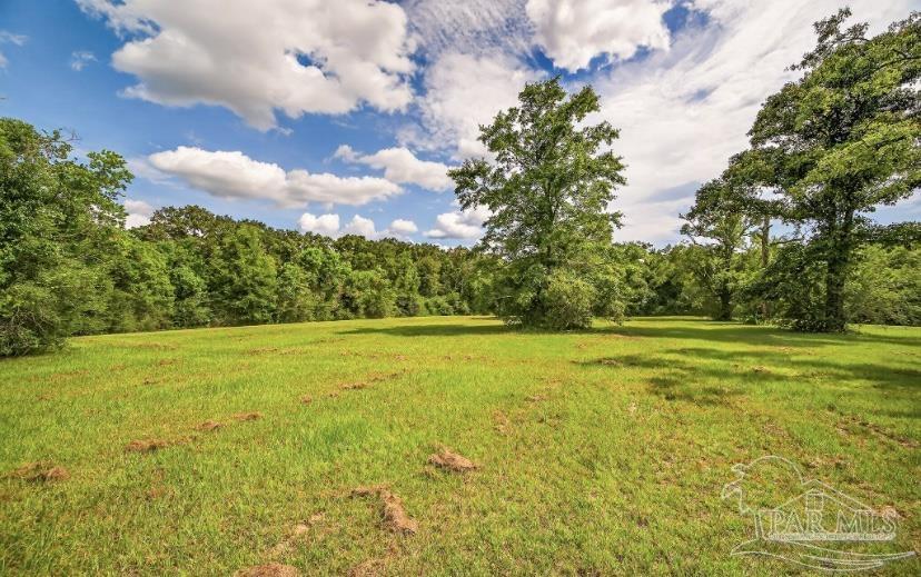 4890 Lemon Road Walnut Hill, FL 32568 - Photo 13 of 14 a view of an ocean from a yard