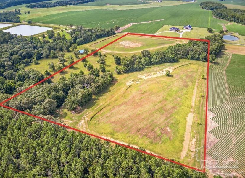 4890 Lemon Road Walnut Hill, FL 32568 - Photo 2 of 14 a view of swimming pool from a yard