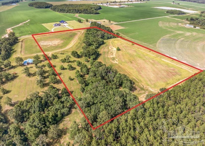 4890 Lemon Road Walnut Hill, FL 32568 - Photo 4 of 14