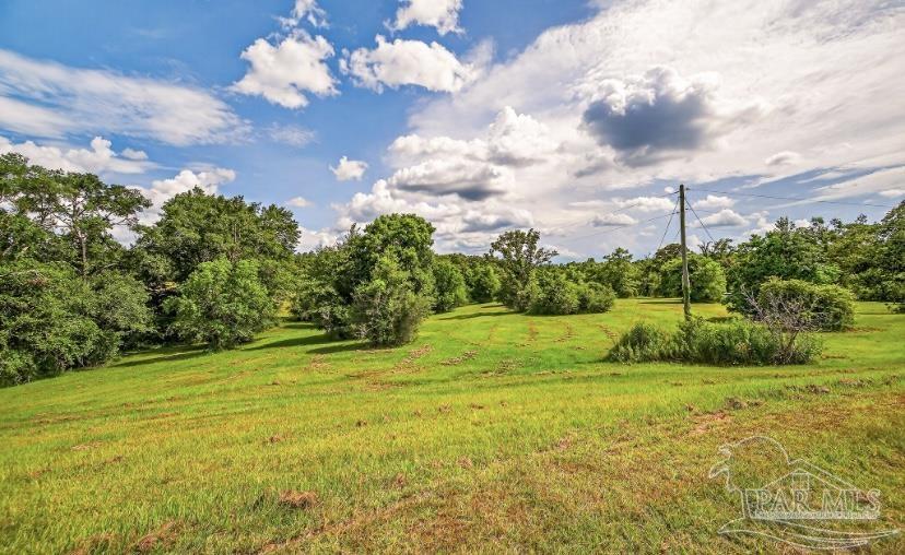 4890 Lemon Road Walnut Hill, FL 32568 - Photo 5 of 14 a view of a big yard with a fountain