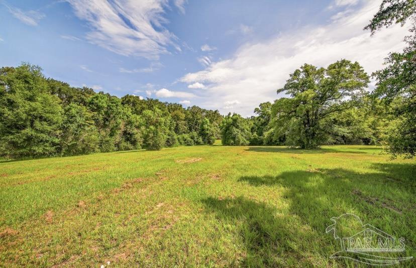 4890 Lemon Road Walnut Hill, FL 32568 - Photo 6 of 14 a view of yard with swimming pool and green space