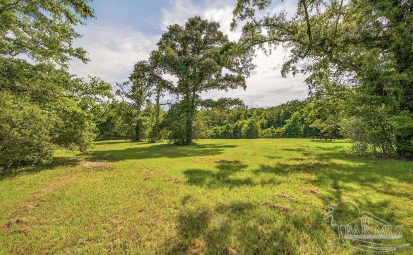 4890 Lemon Road Walnut Hill, FL 32568 - Photo 7 of 14 a view of yard with swimming pool and green space