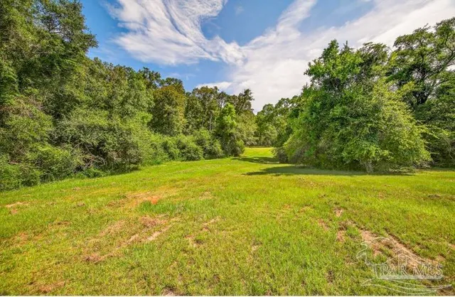 a view of yard with swimming pool and green space