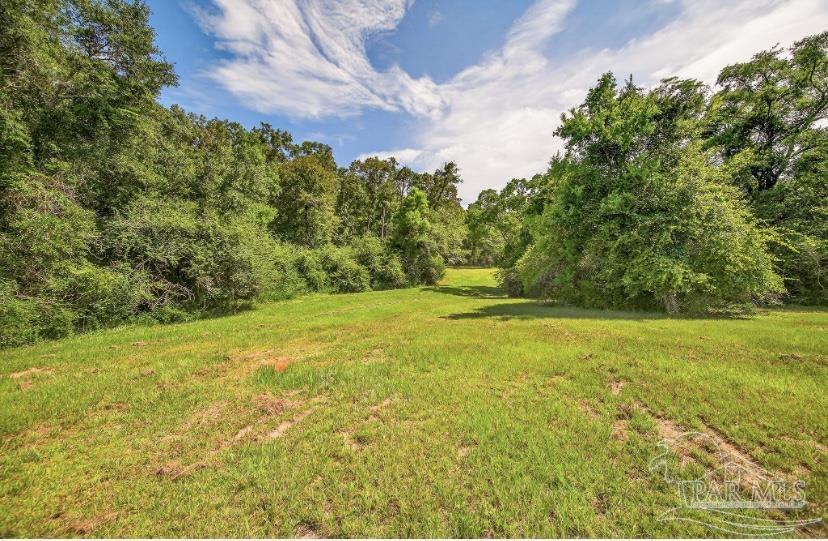 4890 Lemon Road Walnut Hill, FL 32568 - Photo 8 of 14 a view of yard with swimming pool and green space