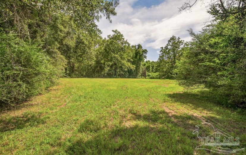 4890 Lemon Road Walnut Hill, FL 32568 - Photo 9 of 14 a view of yard with swimming pool and green space