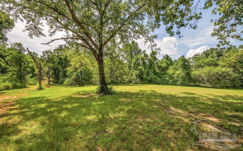 4890 Lemon Road Walnut Hill, FL 32568 - Photo 10 of 14 a view of yard with trees