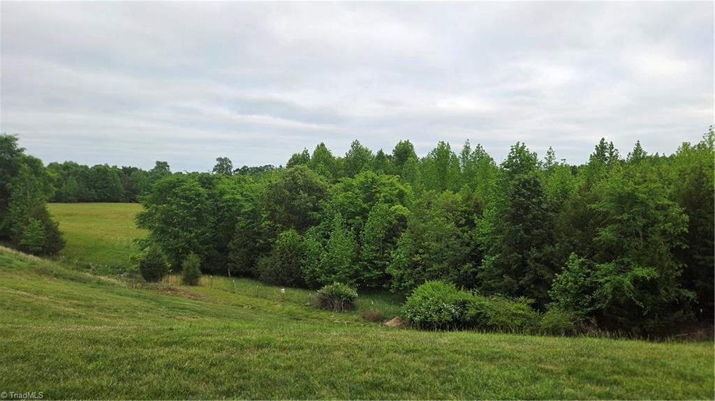 8365 Tralee Road Clemmons, NC 27012 - Photo 27 of 35