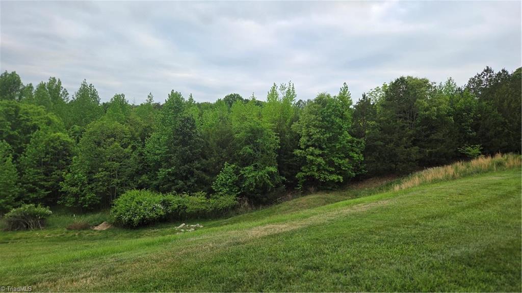 8365 Tralee Road Clemmons, NC 27012 - Photo 28 of 35