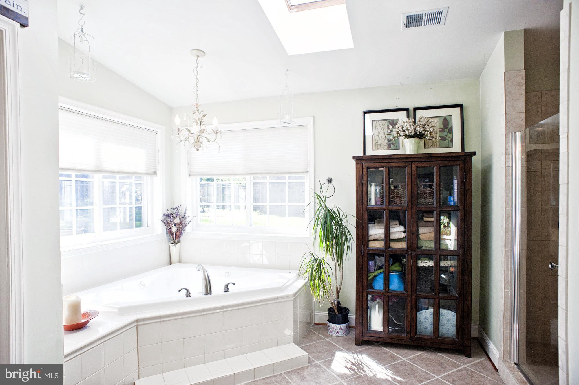 11525 Johns Hopkins Road Fulton, MD 20759 - Photo 14 of 29 Sunken Tub with Separate Shower w Glass Door