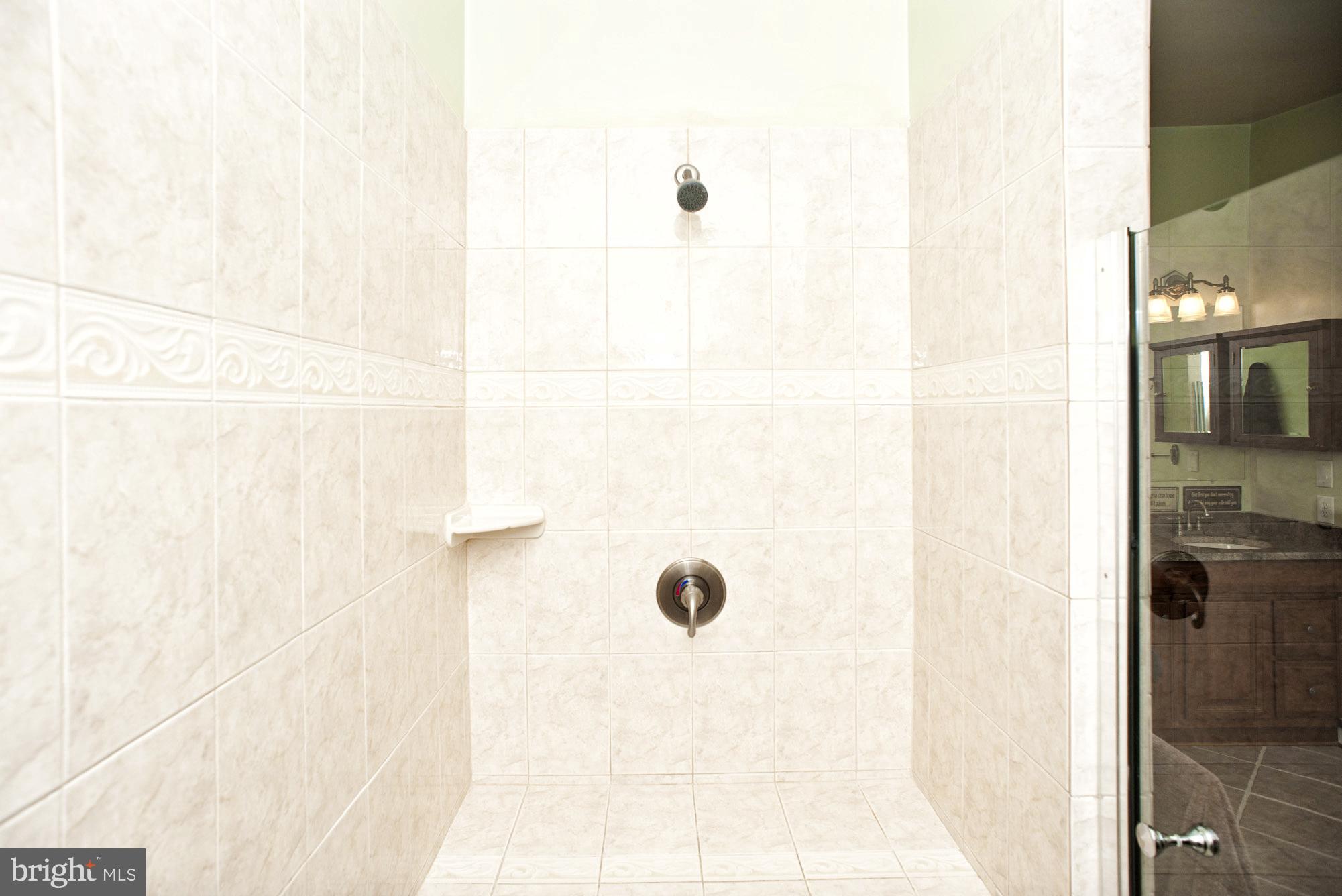 11525 Johns Hopkins Road Fulton, MD 20759 - Photo 15 of 29 Stylish Tile in Master Shower