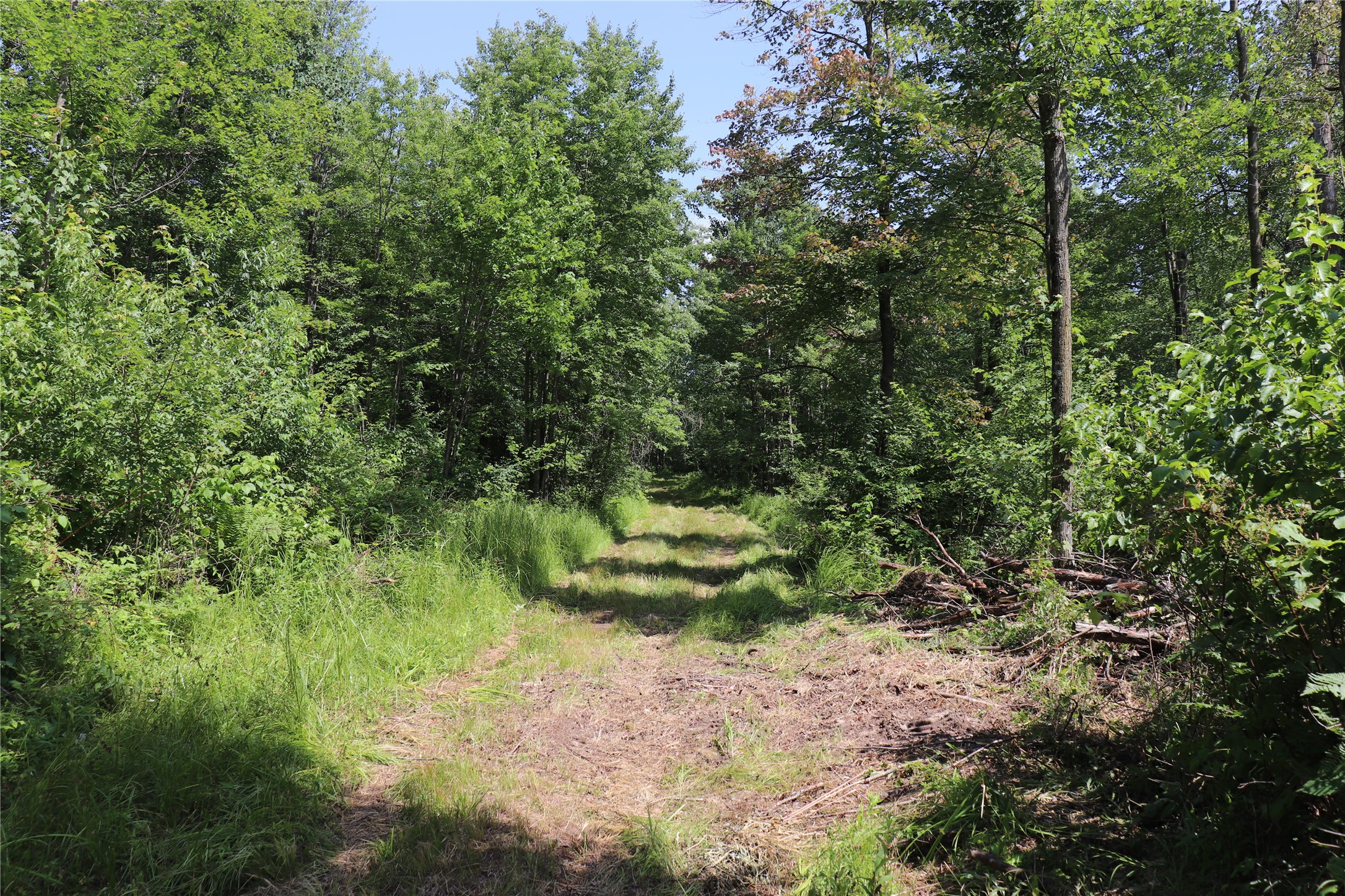 S11305 Kempton Road Augusta, WI 54722 - Photo 11 of 57