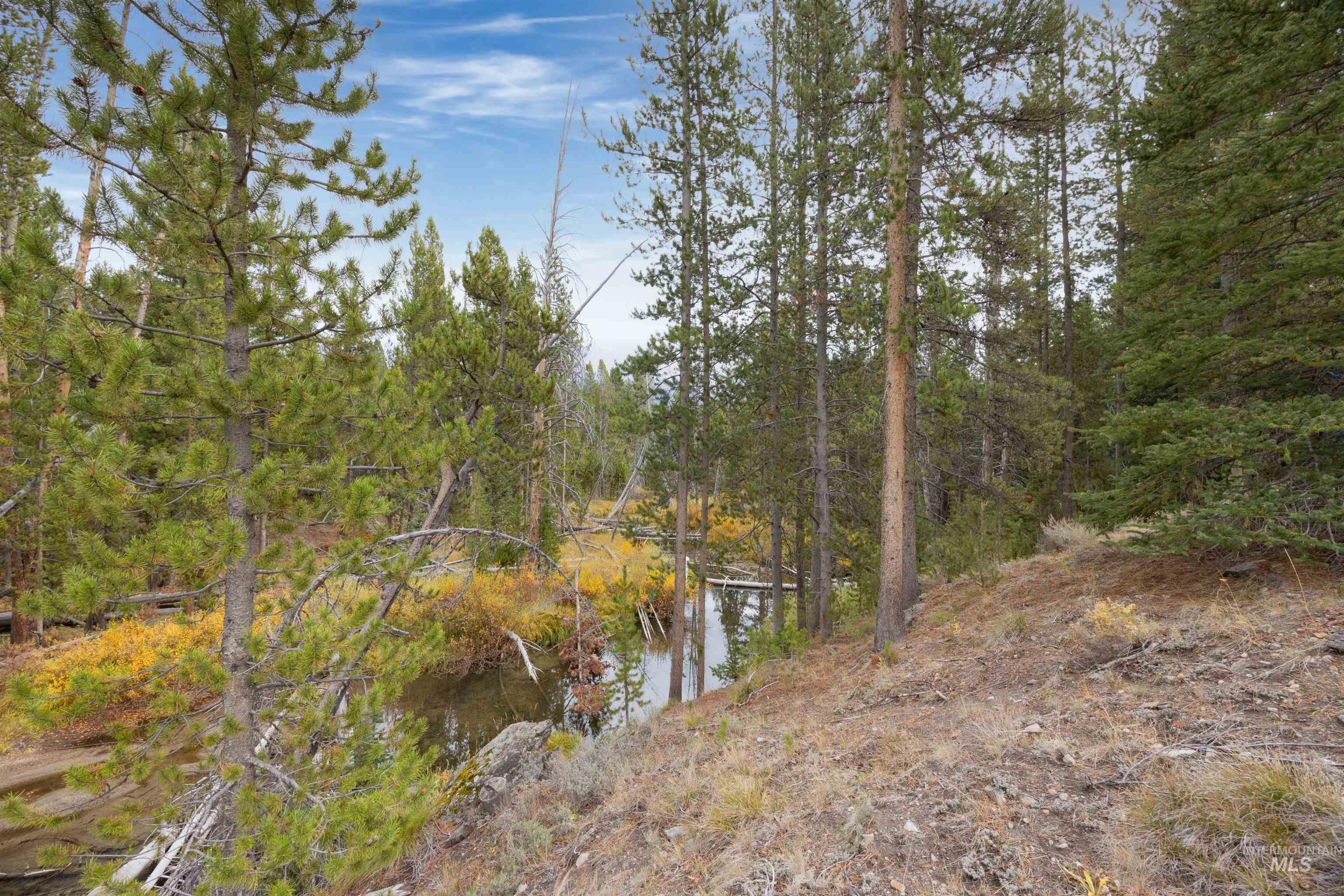 773 Smiley Creek Road Ketchum, ID 83340 - Photo 1 of 27 View of undeveloped land with a nearby body of water