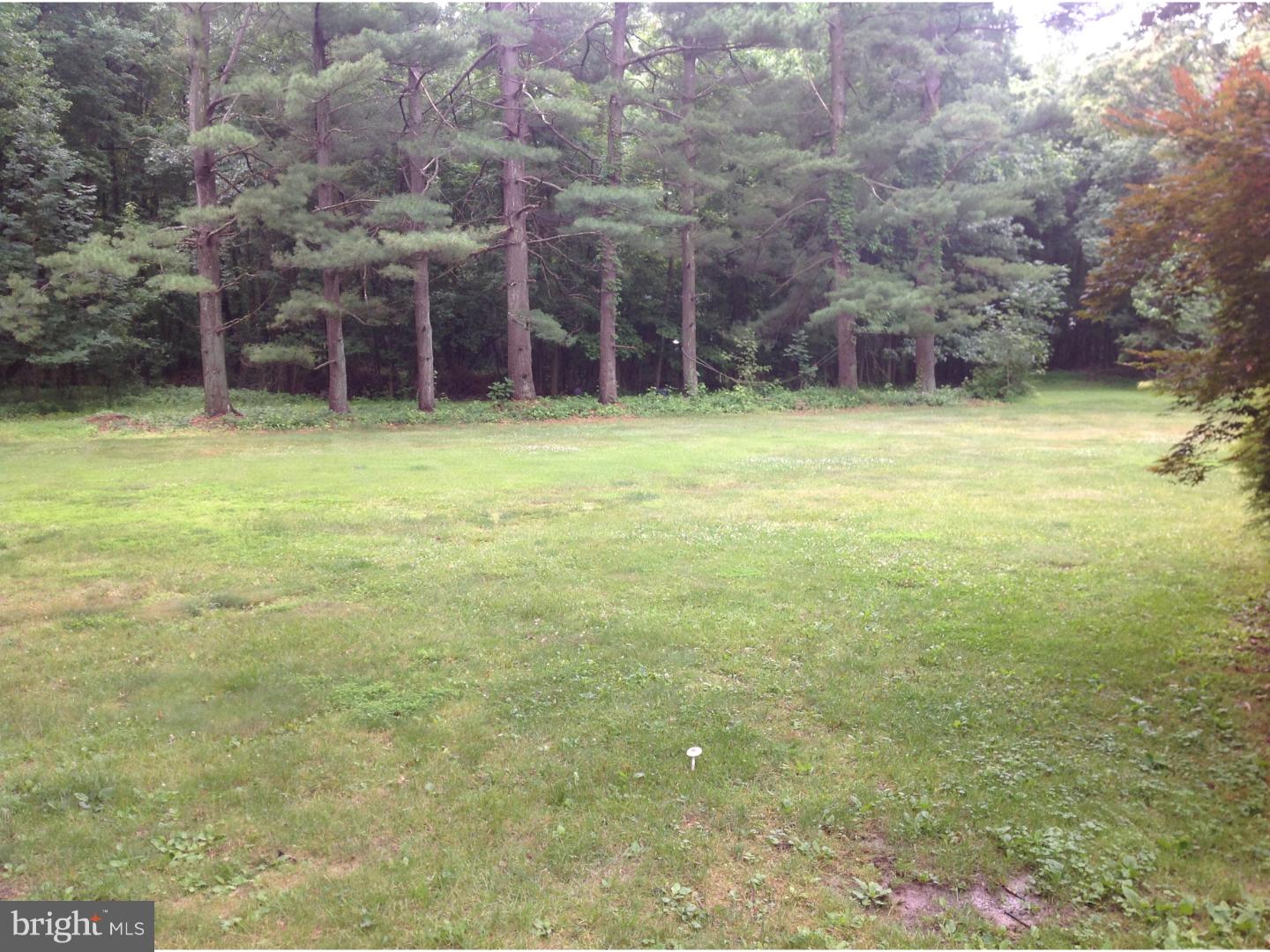 12 Tindall Road Robbinsville, NJ 08691 - Photo 21 of 22