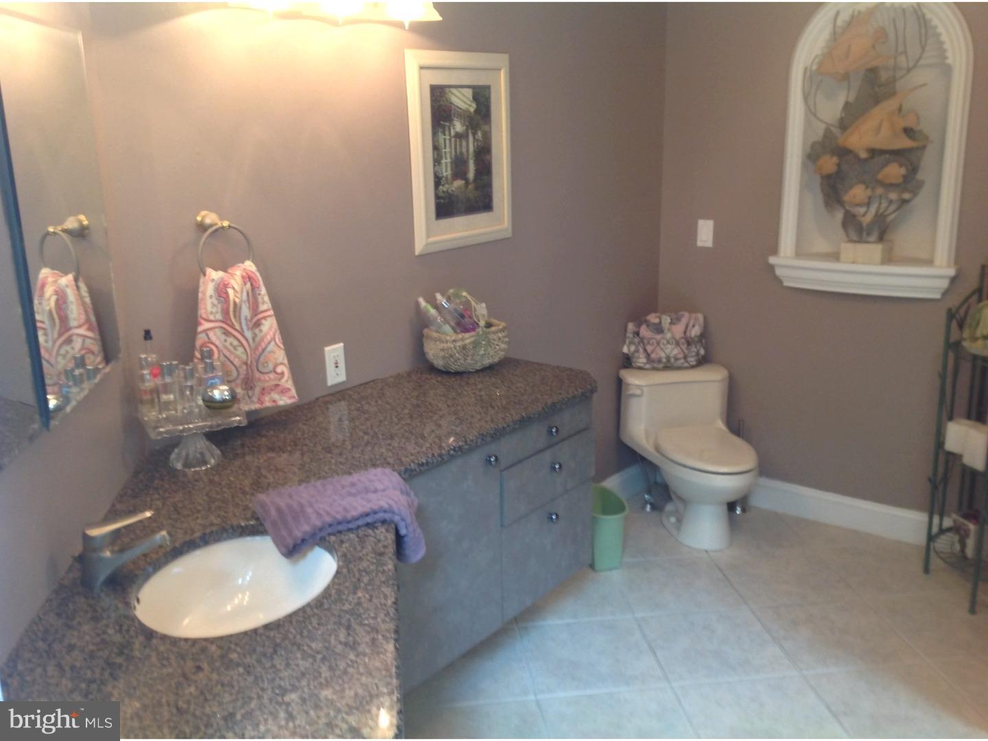 12 Tindall Road Robbinsville, NJ 08691 - Photo 9 of 22 Master Bathroom