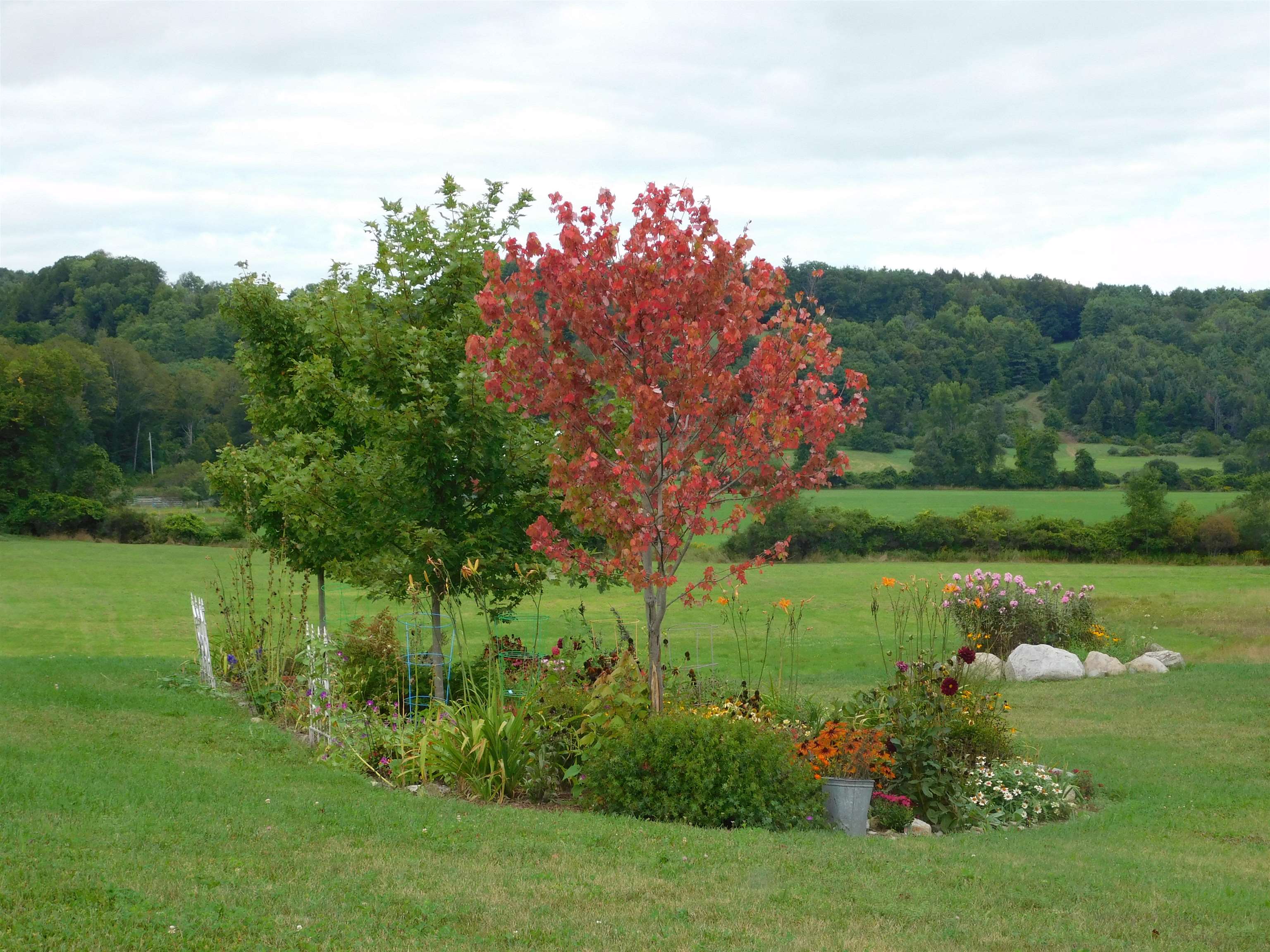 844 Greeley Road Springfield, VT 05156 - Photo 7 of 57 Gallery Image 7