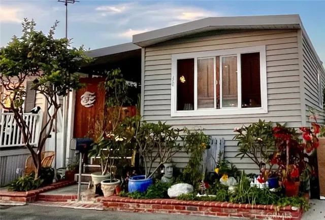 a potted plant sitting in front of a house