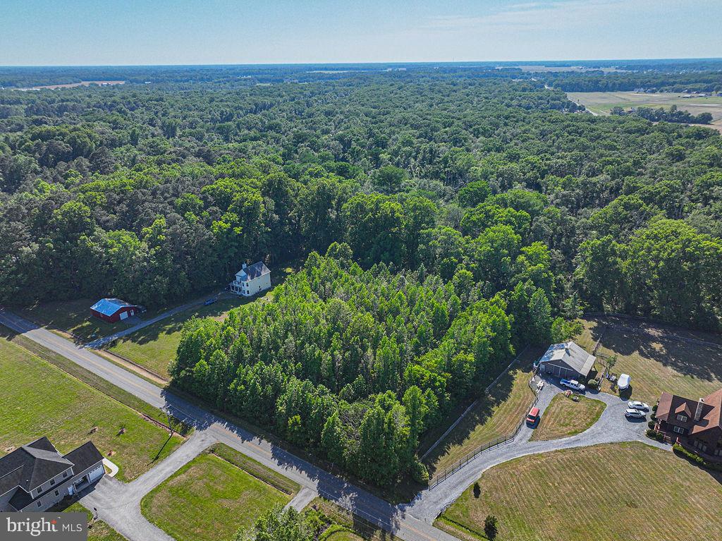 Lot 7 Bell Road Whaleyville, MD 21872 - Photo 7 of 20