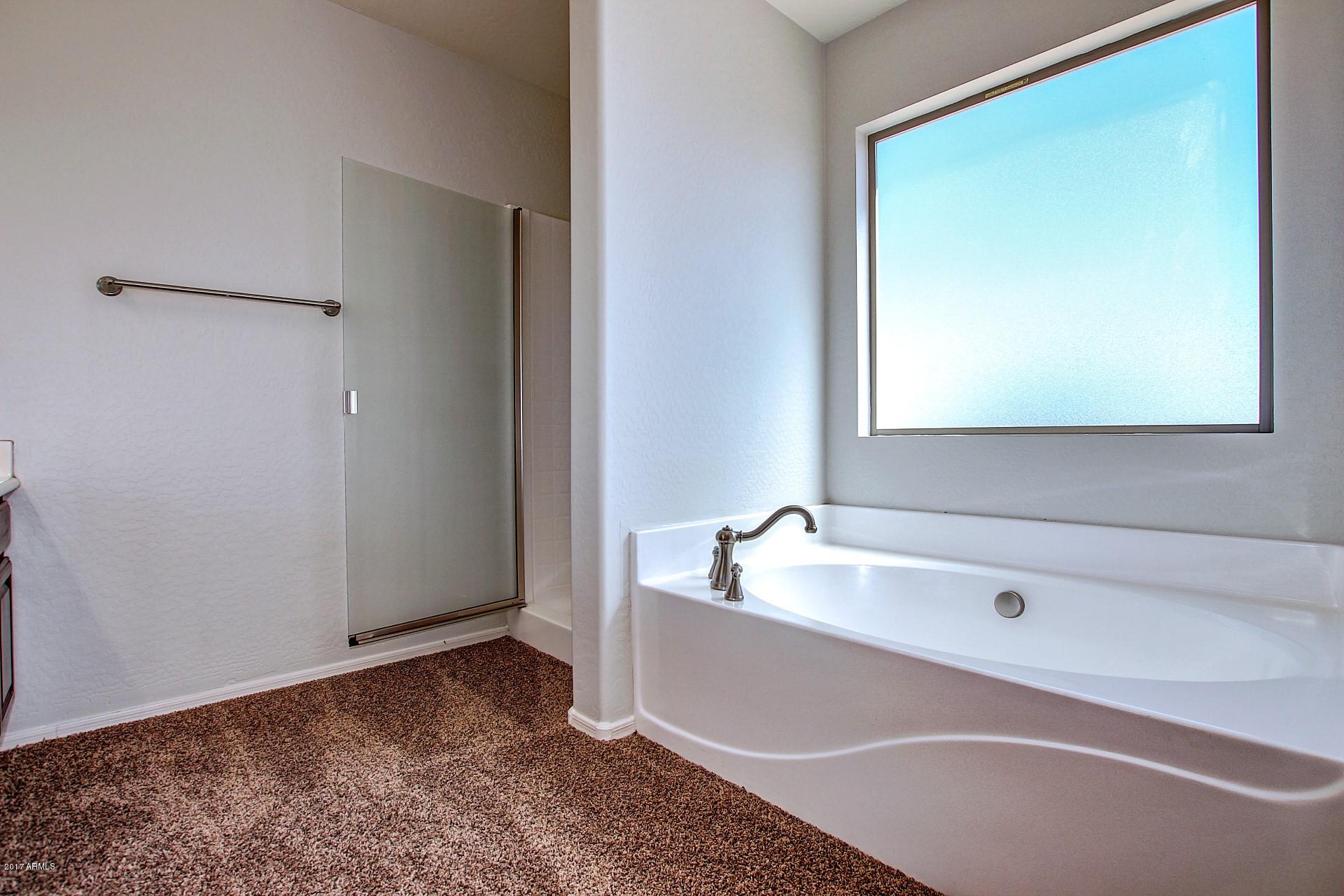 23571 West Pecan Road Buckeye, AZ 85326 - Photo 28 of 30 Pecan (28)