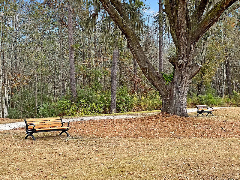 2109 Rowan Road Johns Island, SC 29455 - Photo 58 of 65 IMG_6262-copy
