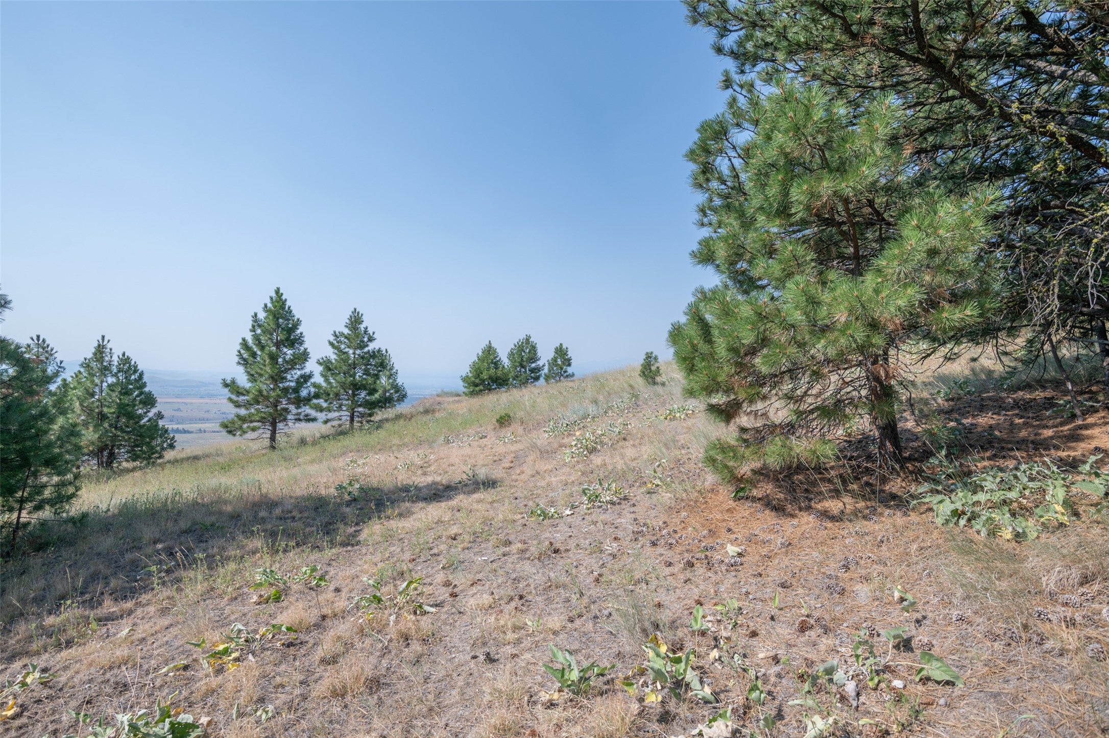 18866 Copper Rdg Trail Florence, MT 59833 - Photo 125 of 139 Gallery Image 125