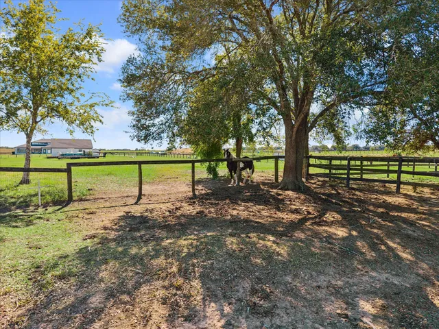 a view of park with trees