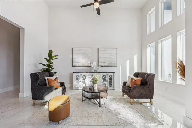 a living room with furniture and a potted plant