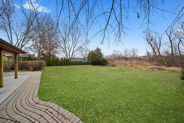 a view of a backyard