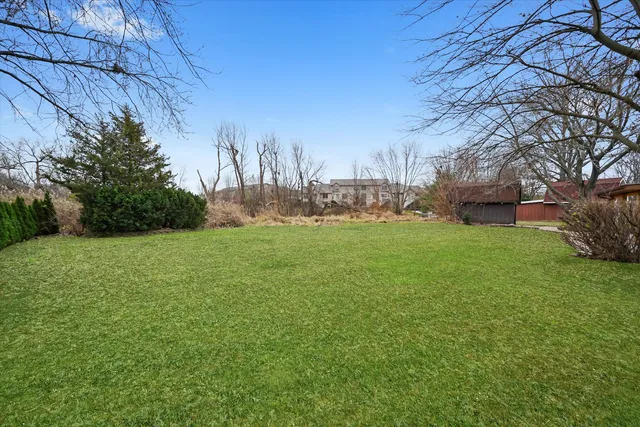 a view of yard with green space