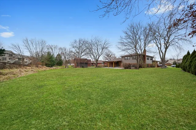 a view of a park with large trees