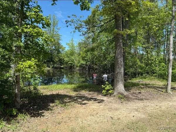 a view of a tree in a yard