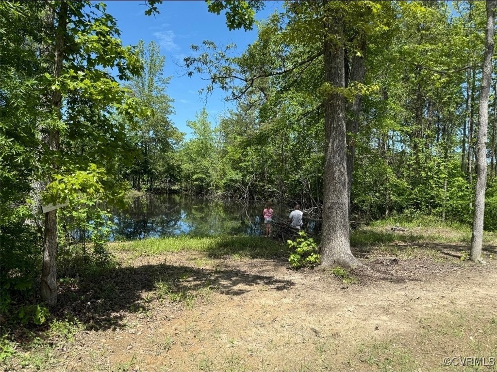 0 Walton Road Louisa, VA 23093 - Photo 2 of 3 a view of a tree in a yard