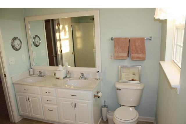 1606 Harrison Way Spring Hill, TN 37174 - Photo 8 of 18 Master bath in Tiffany Blue overlooks the backyare