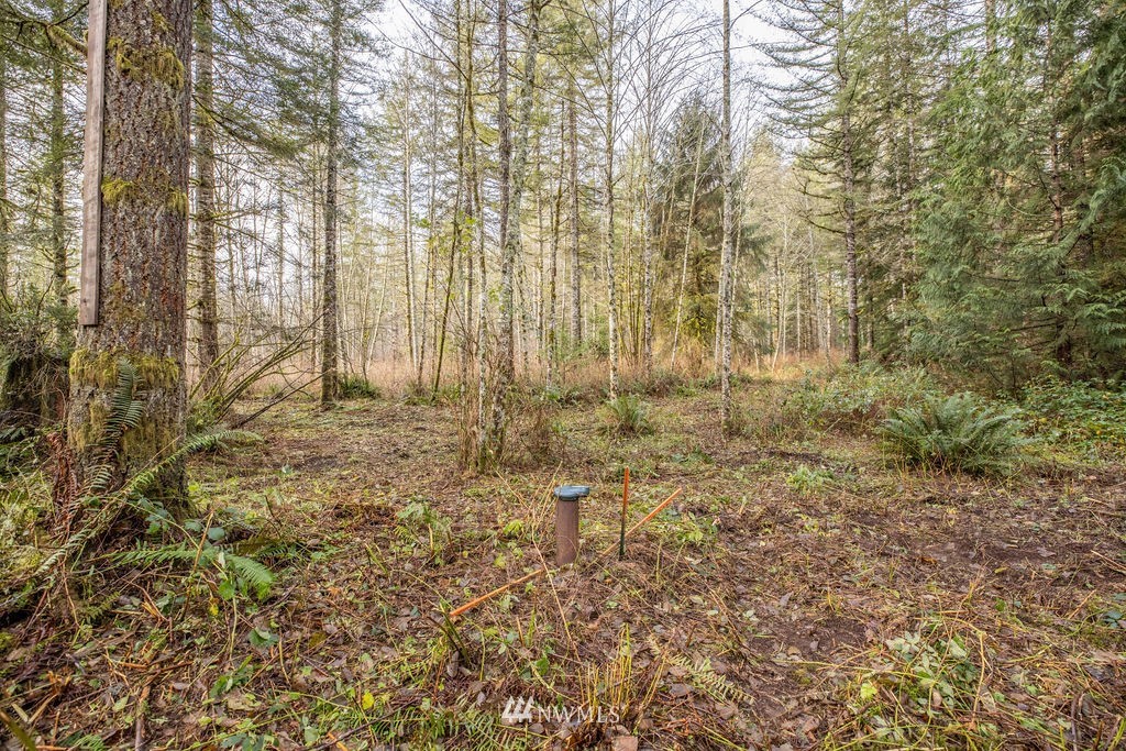 11101 Reiner Road Monroe, WA 98272 - Photo 4 of 10
