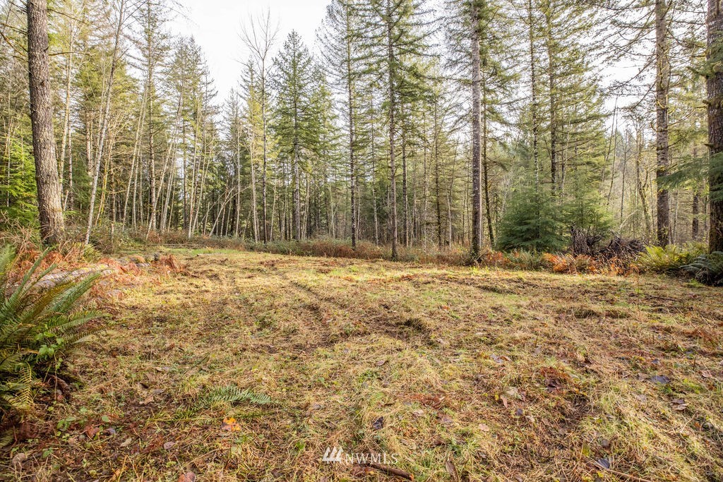 11101 Reiner Road Monroe, WA 98272 - Photo 5 of 10 a view of outdoor space with trees