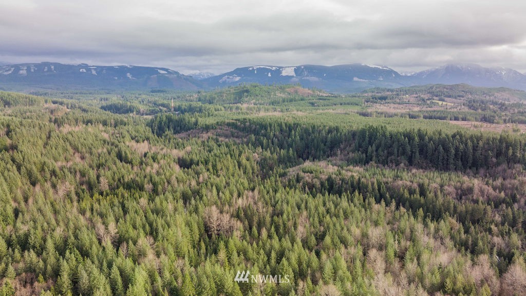 11101 Reiner Road Monroe, WA 98272 - Photo 6 of 10 a view of a lush green hillside and a mountain