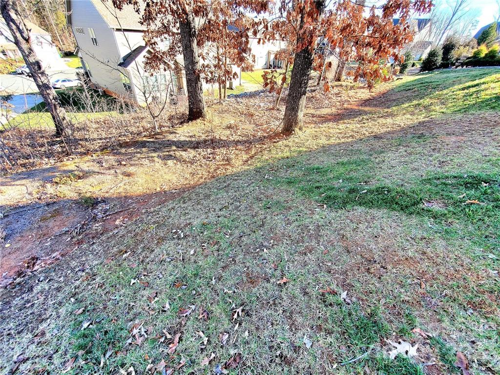 10013 Sunset Ridge Midland, NC 28107 - Photo 42 of 45 a view of yard with tree