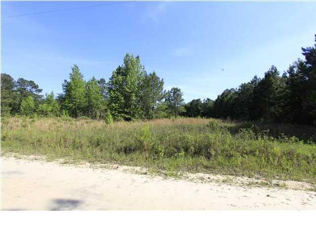 153 Oscar Holmes Road Wewahitchka, FL 32465 - Photo 1 of 8