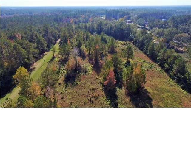 153 Oscar Holmes Road Wewahitchka, FL 32465 - Photo 2 of 8