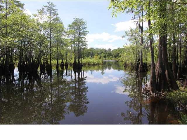 153 Oscar Holmes Road Wewahitchka, FL 32465 - Photo 4 of 8