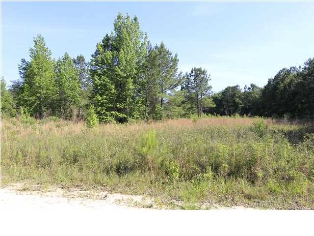 153 Oscar Holmes Road Wewahitchka, FL 32465 - Photo 6 of 8
