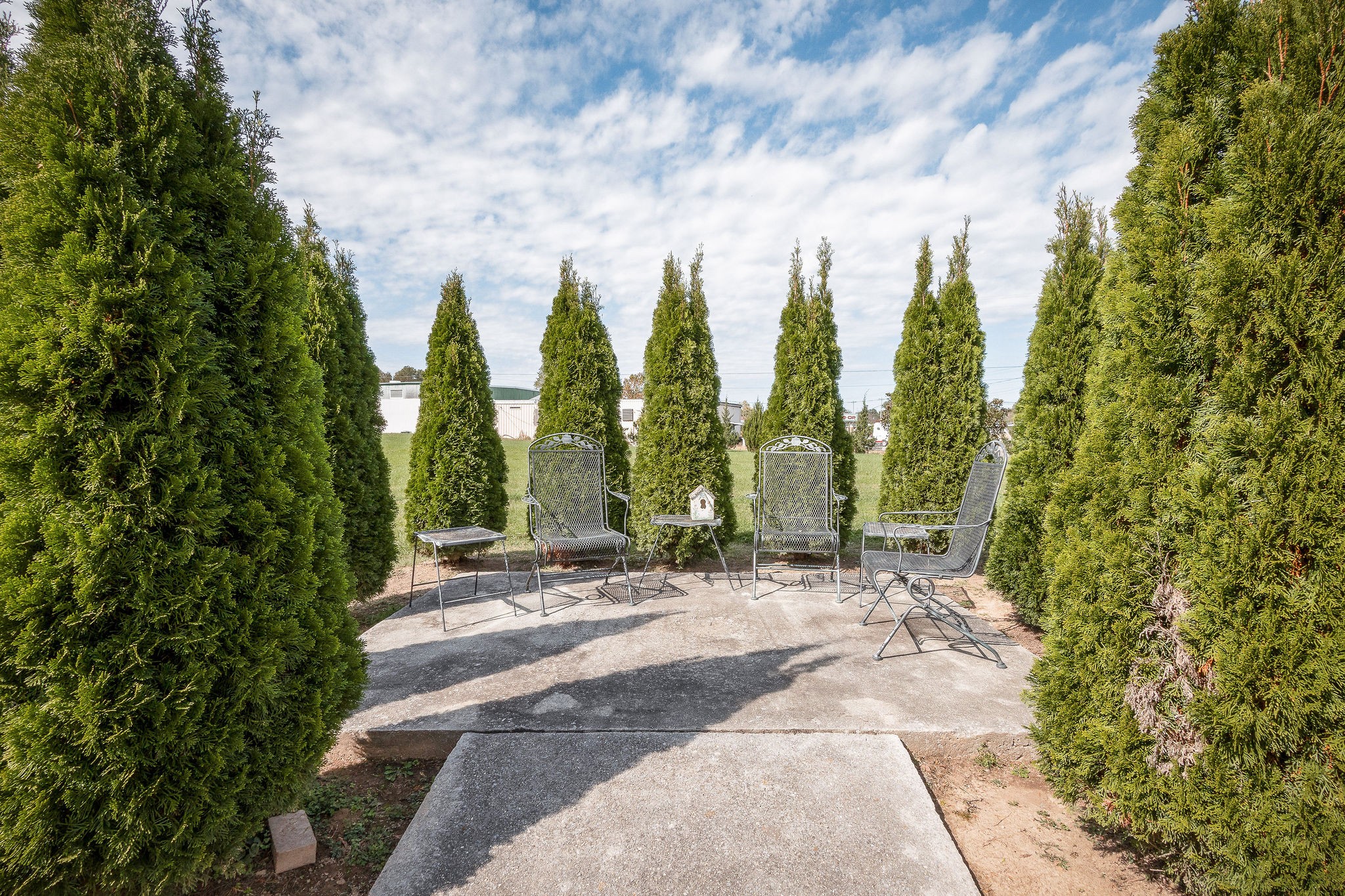401 Whaley Street Smithville, TN 37166 - Photo 32 of 38 a view of a street with trees